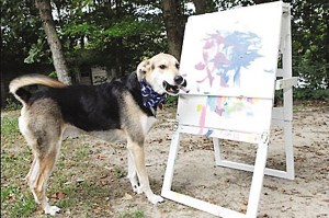 小狗用嘴叼笔作画卖出1700美元