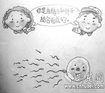 香港儿童性教育绘本因大尺度片引热议