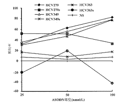 反义寡核苷酸对HCV 5′NCR基因调控功能的特异性抑制作用