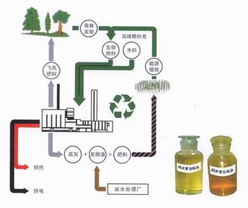 生物质能源发展迎来春天