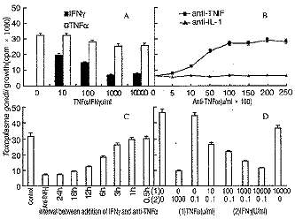 TNFα、IL-6、IL-4、IL-2对IFNγ抗弓形虫感染作用的影响