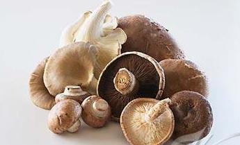 健康饮食：盘点蘑菇不为人知的四大好处