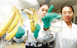 讲述实验室里的“科学奇遇记”