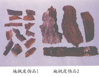 地枫皮伪品（2）--大八角（Dabajiao）
