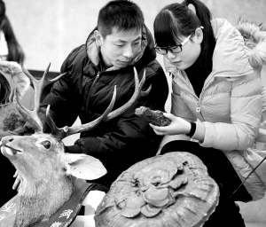 大学生比赛辨认中药