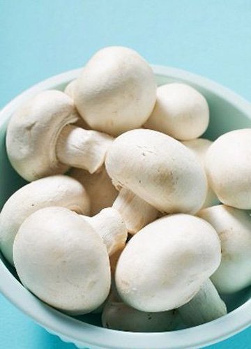 菇类食物