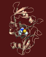 科学家分离出类鼻疽杆菌致命毒素