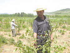“光棍村”变“首富村”