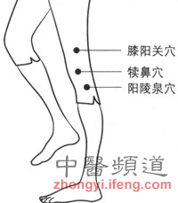 踏春受伤 教你如何穴位按摩救急
