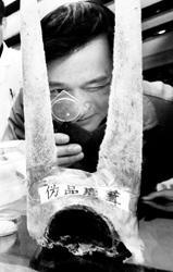 中药鉴别科普馆亮相上海步行街