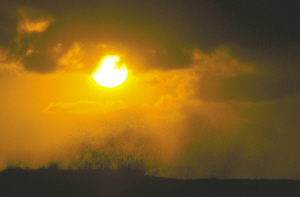 沙尘天 洗鼻不能少