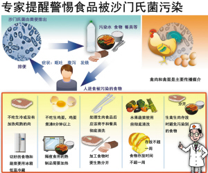 鸡蛋 煮沸8分钟后再吃