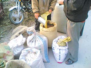 安国中药饮片市场纪实 “药都”造假无法无天