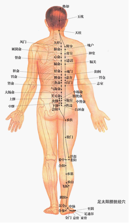 穴位按压不宜用力 适度点按即可