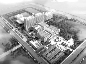 历史的跨越 百姓的福音——上海市奉贤区中心医院托管四周年巡礼