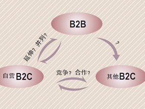 B2B与B2C，竞合抑或竞争
