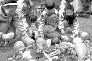 小学生上环保课