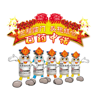 普药市场也有春天——记石药头孢类产品10年专业化历程