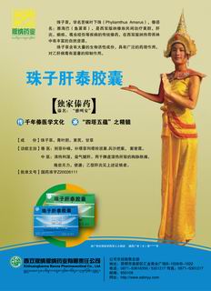 珠子肝泰胶囊（文）-官方高清创意广告(滇药广审(文)第2011110264号)