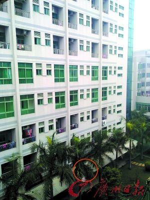 产妇临盆前离奇坠楼 死亡母体中剖出女婴