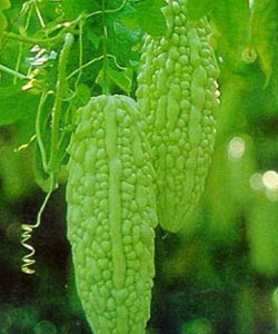 “霜打茄子”是好药！盘点杀死癌细胞8大食物