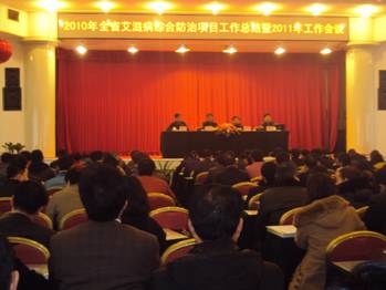 2010年湖南省艾滋病综合防治项目工作总结暨2011年工作会议在长沙召开