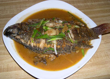 四类人吃鱼的恐怖后果