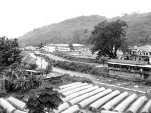 国境线挡不住疫病流行