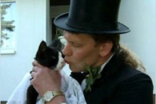 德国男子爱猫如命 与15岁宠物母猫结婚