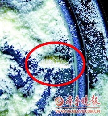 贝因美婴儿奶粉里现活虫 厂家愿赔3000元