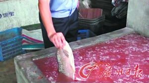 黑作坊用工业盐腌制不明死鱼 一年卖掉4万斤