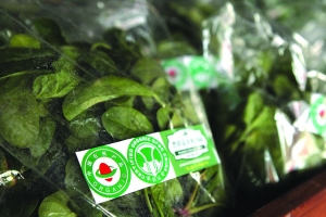 有机蔬菜究竟是个什么菜 凭什么更“高贵”