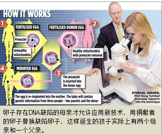 “三父母试管婴儿”规避新生儿先天疾病风险