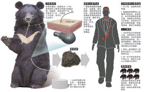 归真堂邀百人观活熊取胆 万人签名抵制多地停售