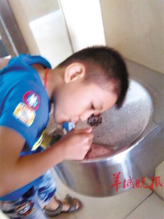 东莞直饮水流出“牛奶” 网友质疑“水能喝吗”