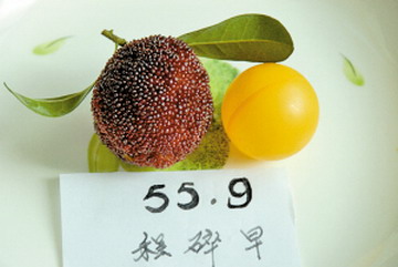 重55.9克晚熟杨梅拍得3000元高价