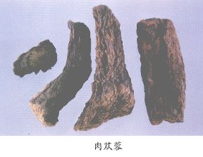 肉苁蓉（Roucongrong）Herba Cistanchis