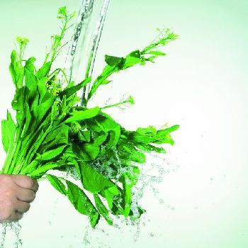 健康指南：蔬菜先洗后切 更加干净营养
