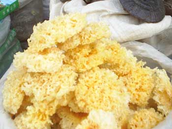 饮食禁忌：13种食物比砒霜还毒