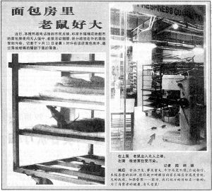 家乐福蛋糕包装内现老鼠屎 回应称无法避免