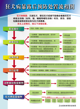 狂犬病暴露：分类处置