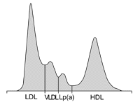 脂蛋白电泳扫描及图谱