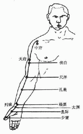 足太阴肺经