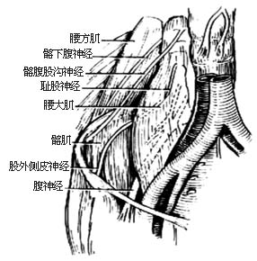前侧显露病灶清除术