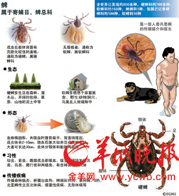 多少人因蜱虫
