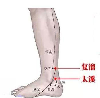 肾气不足揉揉复溜穴