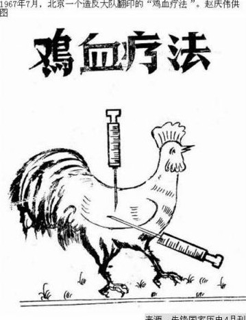 打鸡血疗法