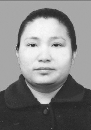 第四届全国道德模范卫生计生系统候选人事迹（二）