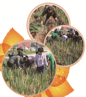 药店人下地种菜？