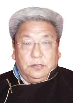 格桑平措主要成就